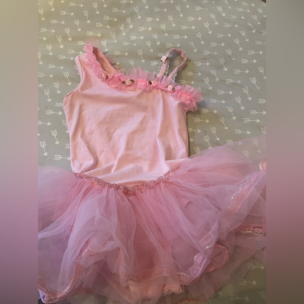 Fairy costume with wings